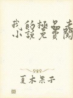 我的极品老婆 小说免费阅读