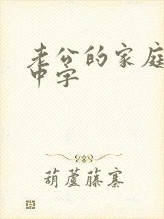 老公的家庭教师中字