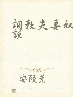 调教夫妻奴的小说