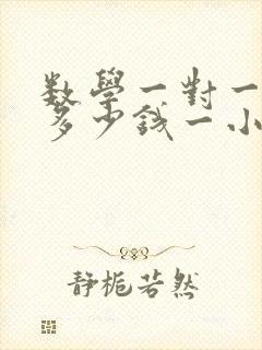 数学一对一辅导多少钱一小时高中