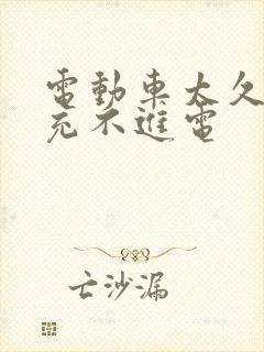 电动车太久不开充不进电