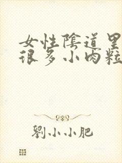 女性阴道里面有很多小肉粒