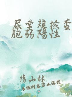 尿常规检查白细胞弱阳性