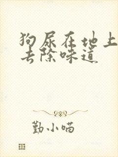 狗尿在地上怎么去除味道