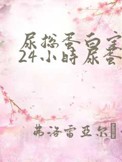 尿总蛋白定量和24小时尿蛋白定量