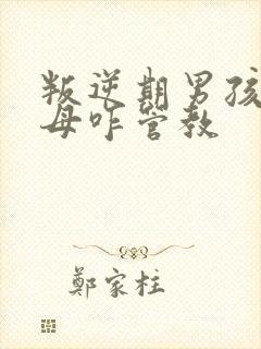 叛逆期男孩子父母咋管教