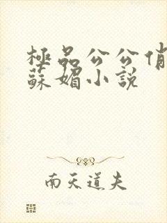 极品公公俏儿媳苏媚小说