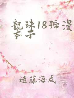龙珠18号漫画本子