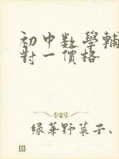 初中数学辅导一对一价格