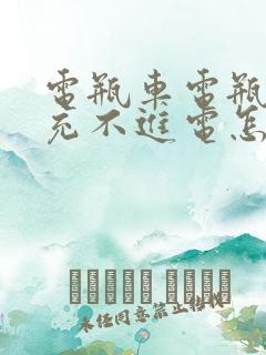 电瓶车电瓶突然充不进电怎么修复