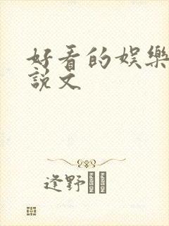 好看的娱乐圈小说文