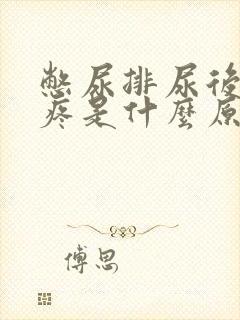 憋尿排尿后膀胱疼是什么原因