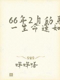 66年2月的马一生命运如何