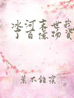 冰河末世我囤积了百亿物资番外篇