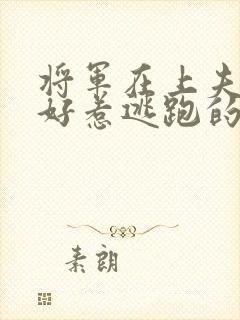 将军在上夫人不好惹逃跑的小鱼