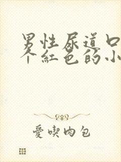 男性尿道口长了个红色的小痘痘