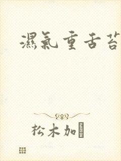 湿气重舌苔黄腻