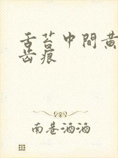 舌苔中间黄腻有齿痕