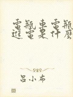 电瓶车电瓶充不进电是什么原因