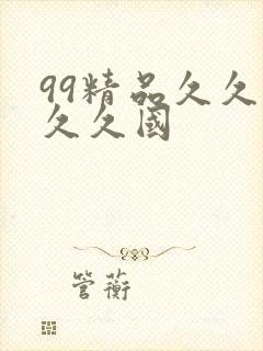 99精品久久久久久国