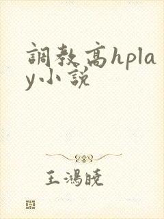 调教高hplay小说