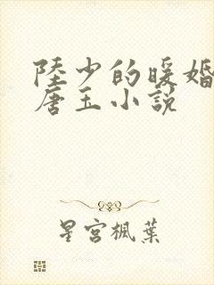 陆少的暖婚新妻唐玉小说