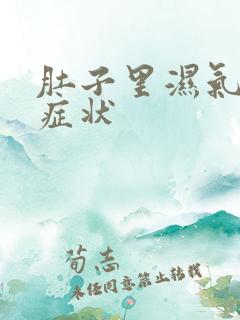 肚子里湿气重的症状