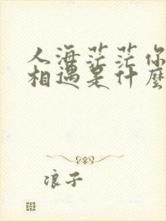 人海茫茫你和我相遇是什么歌名