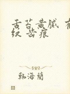 舌苔黄腻 有裂纹 齿痕