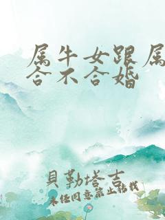 属牛女跟属马的合不合婚