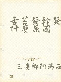 舌苔发干发黄是什么原因