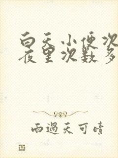 白天小便次数少夜里次数多咋回事