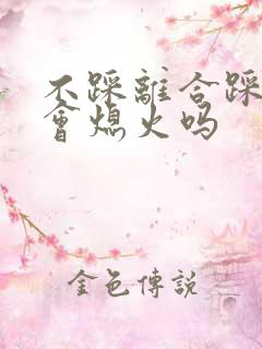 不踩离合踩刹车会熄火吗