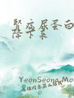 肾病尿蛋白怎么降下来