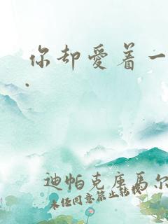 你却爱着一个他.