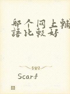 哪个网上辅导英语比较好