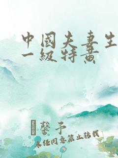 中国夫妻生活片一级特黄