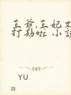 王爷,王妃又去打劫啦 小说