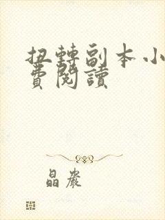 扭转副本小说免费阅读