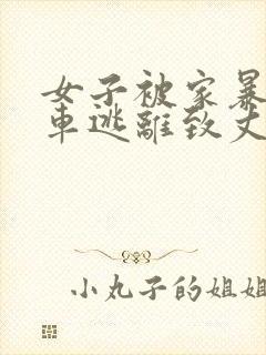 女子被家暴,驾车逃离致丈夫死亡被判11年