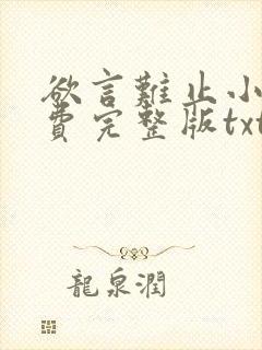 欲言难止小说免费完整版txt下载