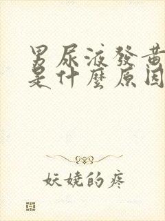 男尿液发黄有泡是什么原因