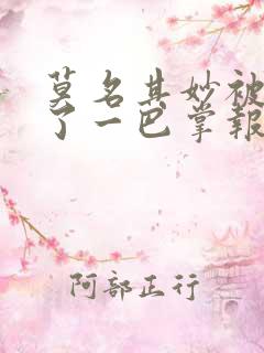 莫名其妙被人打了一巴掌报警有用吗