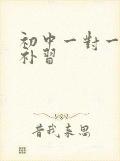 初中一对一历史补习