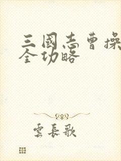 三国志曹操传完全功略