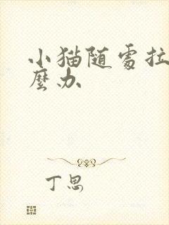 小猫随处拉尿怎么办