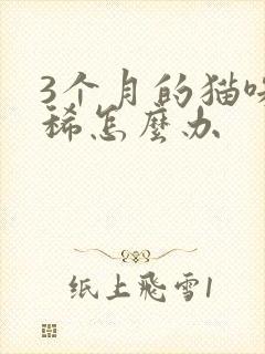 3个月的猫咪拉稀怎么办