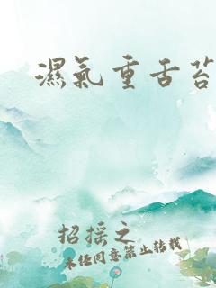 湿气重舌苔白腻