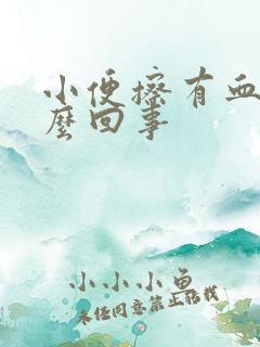 小便擦有血是怎么回事