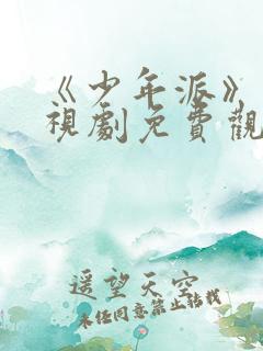 《少年派》1电视剧免费观看全集